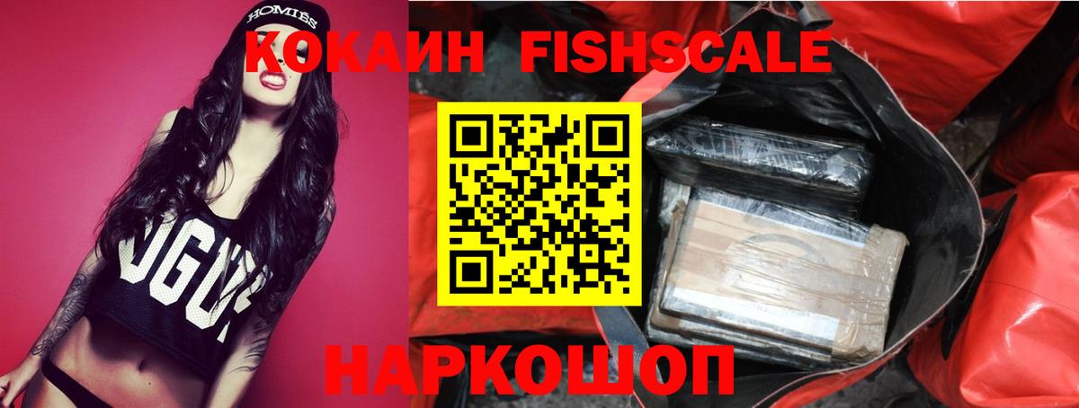 Артём  COCAIN Fish Scale  КОКАИН  COCAIN VHQ  Вход с VPN 